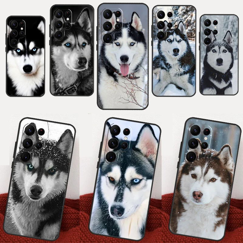 Чехол для Samsung Galaxy S20 FE S21 FE S22 Ultra S9 S10 Note 10 Plus Note 20 S23 Чехол для Samsung Galaxy S20 FE S21 FE S22 Ultra S9 S10 Note 10 Plus Note 20 S23