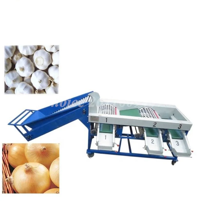 Commerciële Appel Sinaasappel Citroen Roller Borstel Classifier Sorter Machine Fruit En Groenten Classificator Sorter Machine