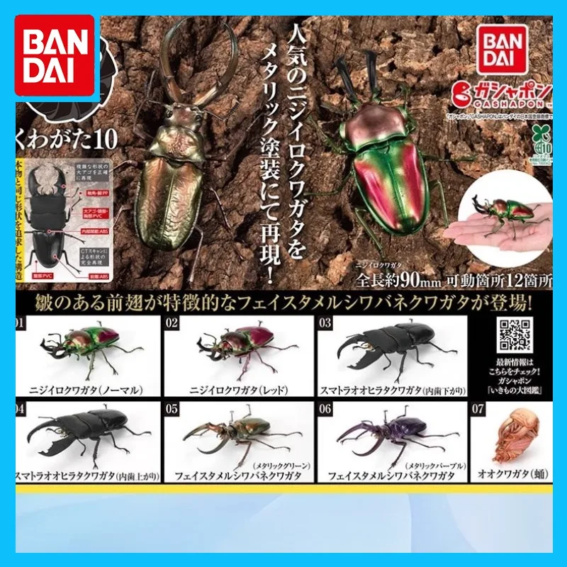 

Bandai Original Biological Atlas Anime Figure Gashapon 10 Serrognathus Titanus Action Figure Toys for Boys Girls Kids Gift