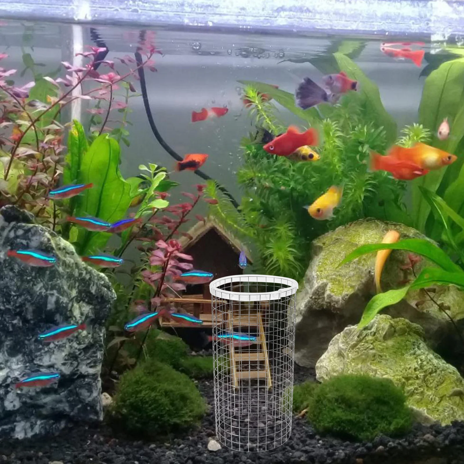 

Fish Spawning Breed Cone Grid Iron Material Stable Reliable Easy Use Angelfish Shrimp Breeding Bucket Aquarium Decoration Tank