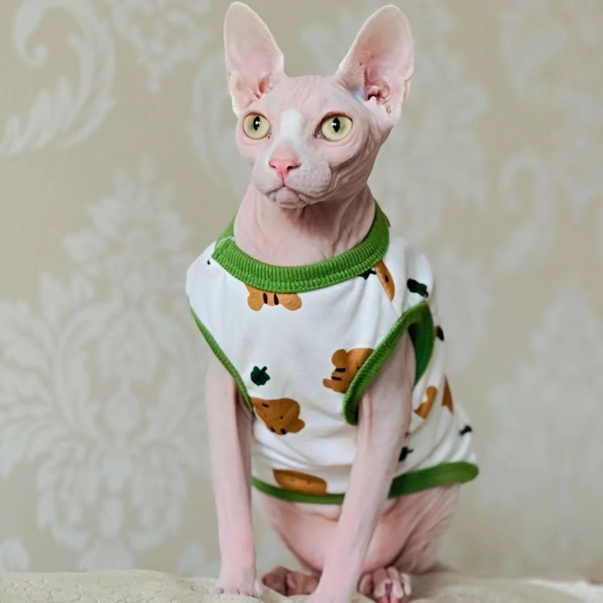 Autumn Devon Rex Cat Dress Sphynx Cat Sleeveless Cotton Dress Breathable Dog Sphynix Cat Kitten Outfits Sphynx Costume