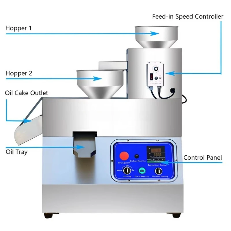 Peanut Oil Making Machine Oil Pressing Homemade Extraction Olive Oil Machine Groundnuts Press Automatic Rapeseed Press Equipment