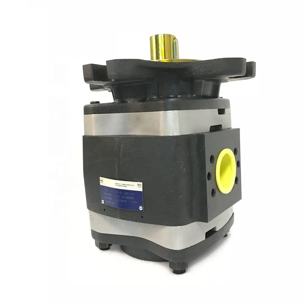 Germany IPVAP Series IPV3 IPV4 IPV5 IPV6 IPV7 IPVP3 IPVP4 IPVP5 IPVP6 IPVP7Hydraulic Internal Gear Pump Oil Pump