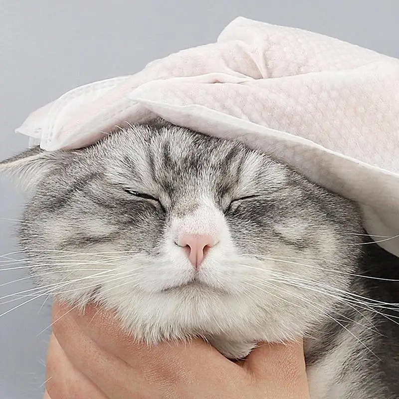 Dog Washing Gloves Non Woven Soft Comfortable Gloves For Pet Grooming 6pcs Mild Cleaning Massage Gloves For Deep Cleaning