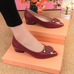 Pumps Women Shoes Chunky Heels Casual Slip on Lady Pointed Toe Square Heel High Quality Comfort Party Wedding Office 2023 Summer