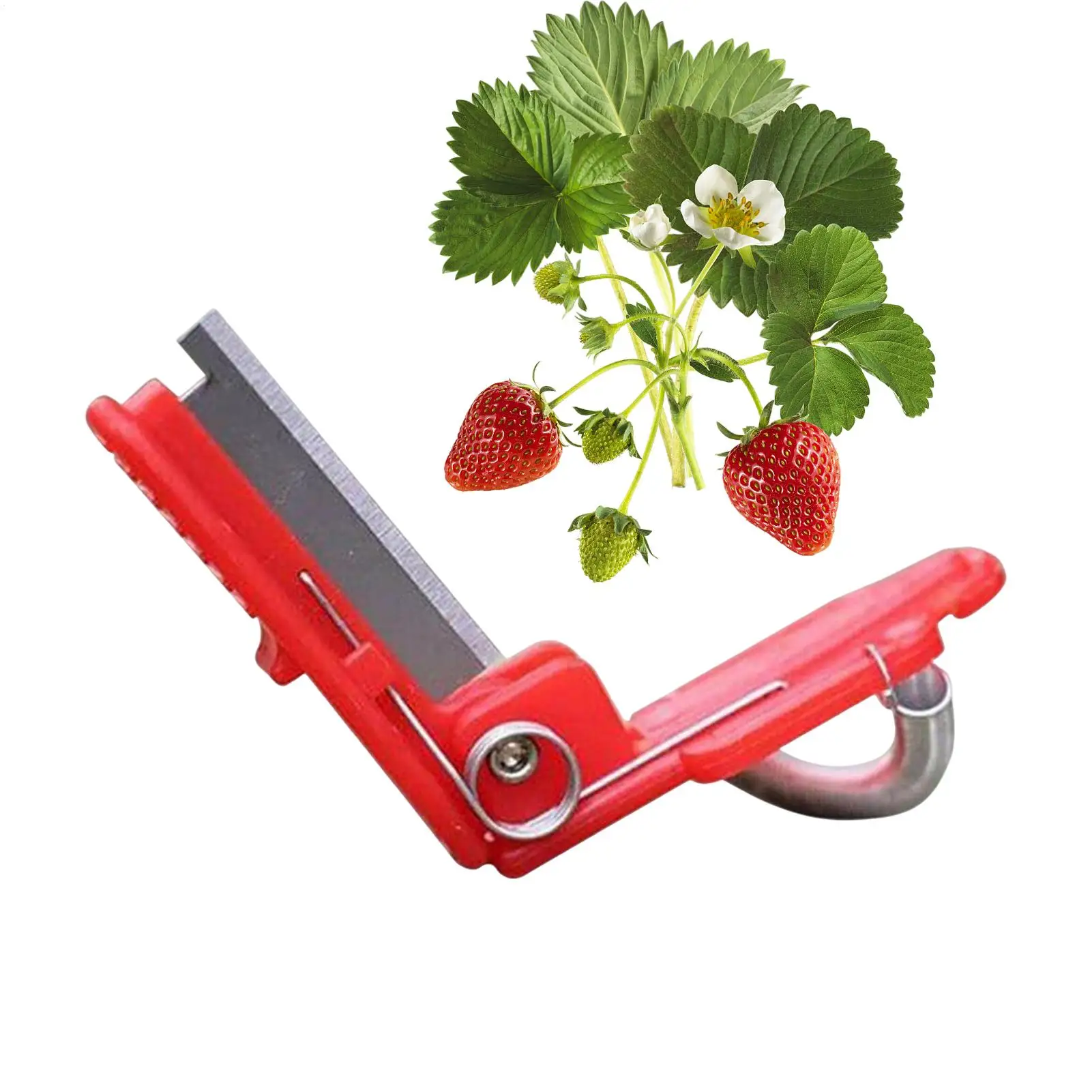 Spring Designed Plant Finger Picker, Safe Separator Tool, Ergonomic Harvesting Supply For Fruit Vegetable Picking Work