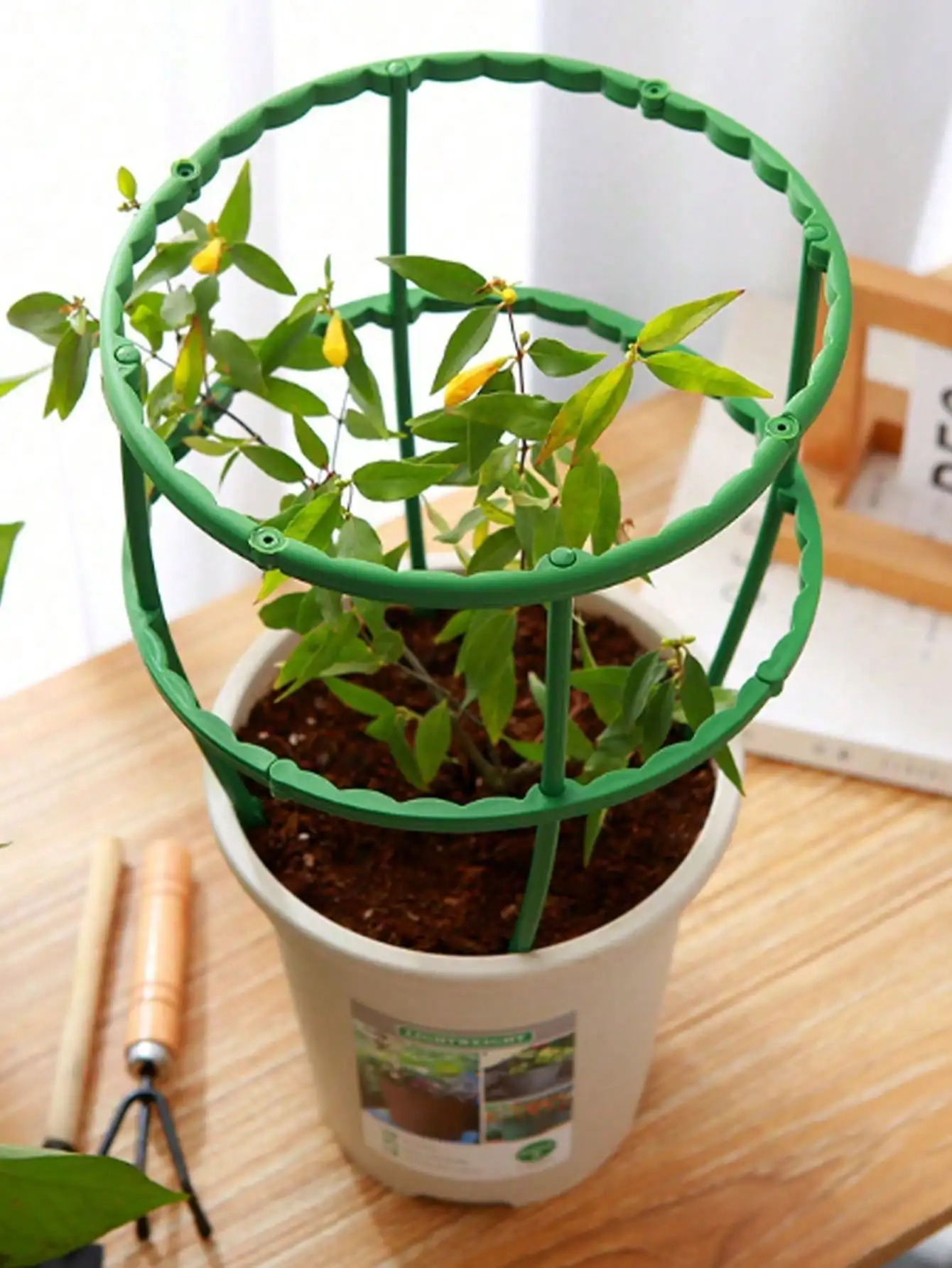 4/8/12/20 Pieces of Green Plastic Garden Plant Support Cages - Semi-Circular Flower Stands and Climbing Frames for Potted Plants, Perfect for Bonsai and Gardening Enthusiasts