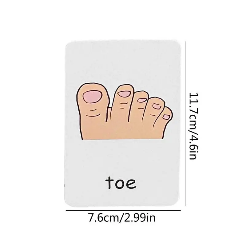 بطاقات فلاش للأطفال الصغار 36 قطعة الحيوان البصر كلمة ألعاب لرياض الأطفال مرحلة ما قبل المدرسة أجزاء الجسم التعليمية بطاقات فلاش مونتيسوري