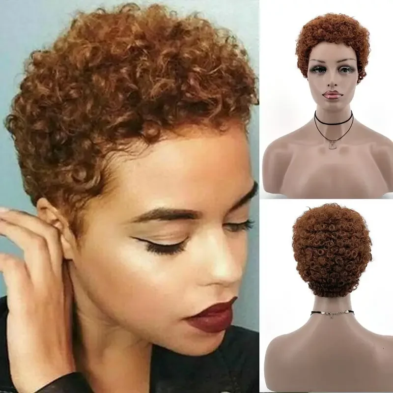 Short Afro Kinky Curly Wig Glueless High Denity Short Brown Synthetic Curly Hair Brazilian Women Curly Wig