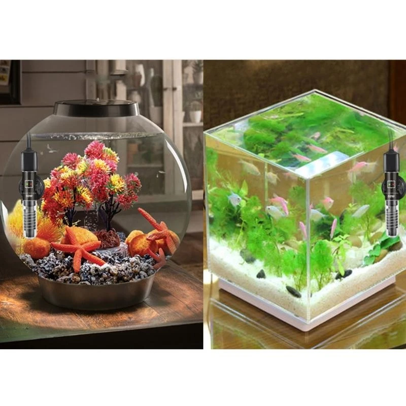 24TE Fish For Tank …