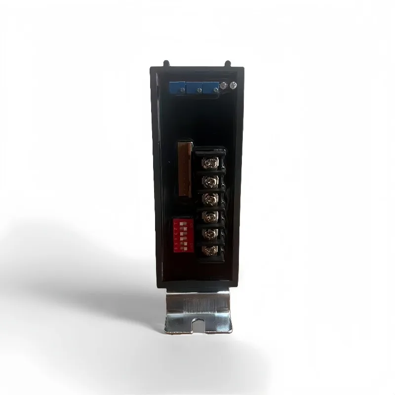 RPA-100H RPC-101H Zhejiang Ruipu 3810 Intelligent Controller Electric Actuator 381L Series