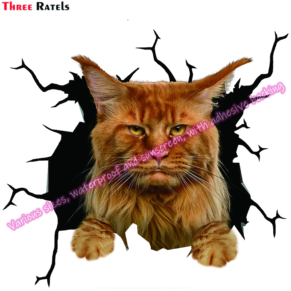 Three Ratels DA Maine Coon Cat Stickers For Bmw F30 Occlusion Scratch DIY Vinyl Material Decor Decals