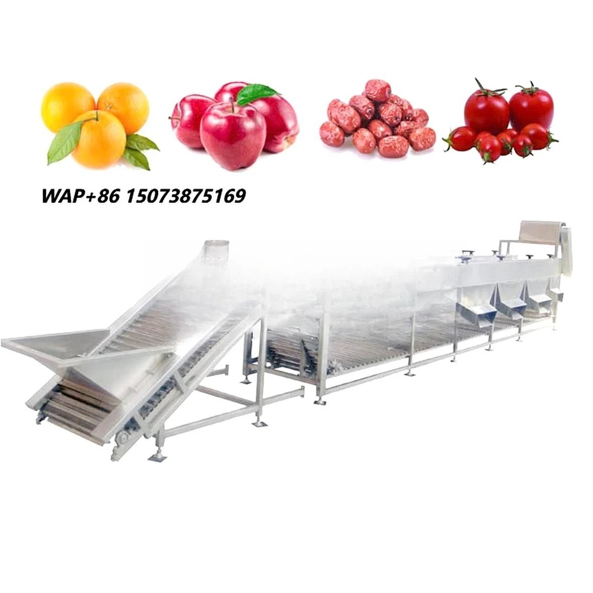 500kg 380V Fruit & Vegetables Grading Sorting Machine with 304 Stainless Steel for Farm Industries Silver Grander Wooden Case