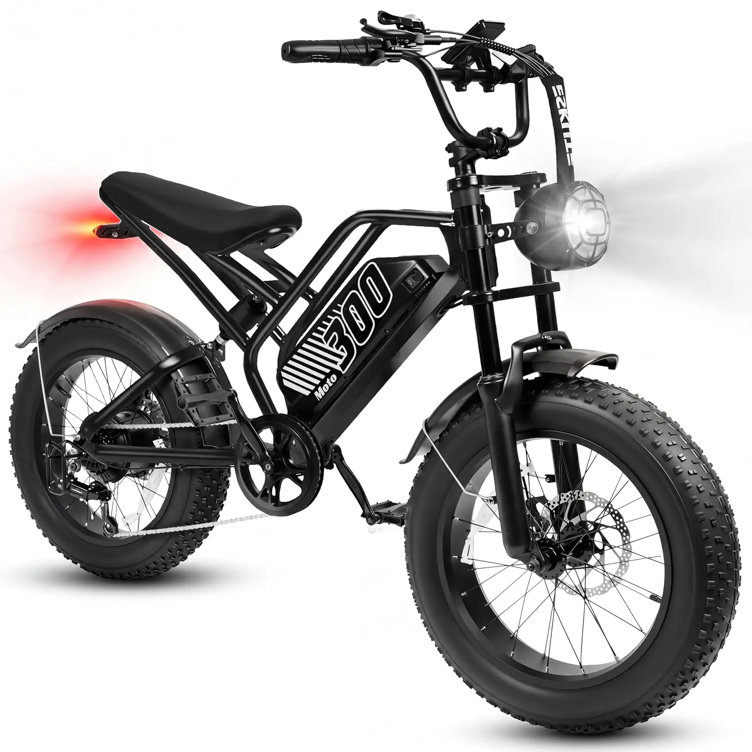 48V 20.8/41.6Ah 1500W Electric Fat Bike 20
