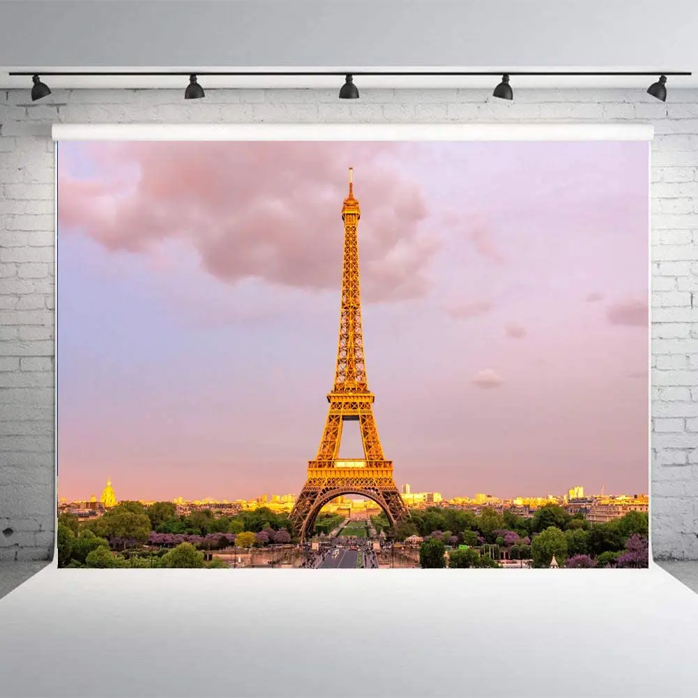 

Eiffel Tower Pink Sunset View Of Paris Photography Backdrop Decoration Celebration Props Party Photo Shoot Background Blush