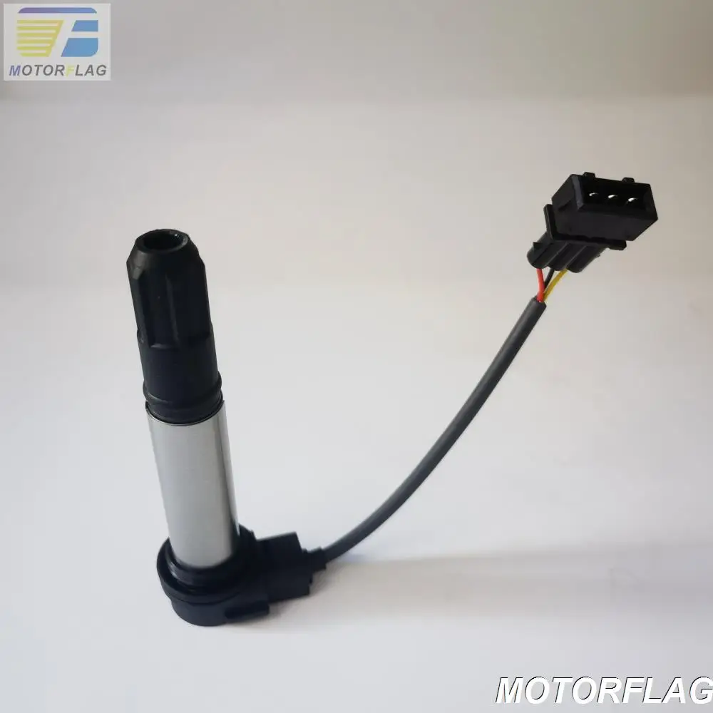 Ignition Coil for Motorcycle BENELLI TNT300 BN302 THV302 TNT600 TNT600i BN600GT TNT249S / Keeway RKX300 RK6 600 / STELS 300 600