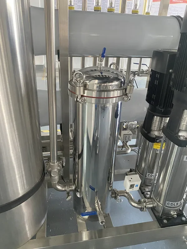 Waterfilterzuiveringssystemen / Zuiveringsinstallatie met omgekeerde osmose / ro Zuiver waterbehandelingsmachine Apparatuur Zuiveringssystemen