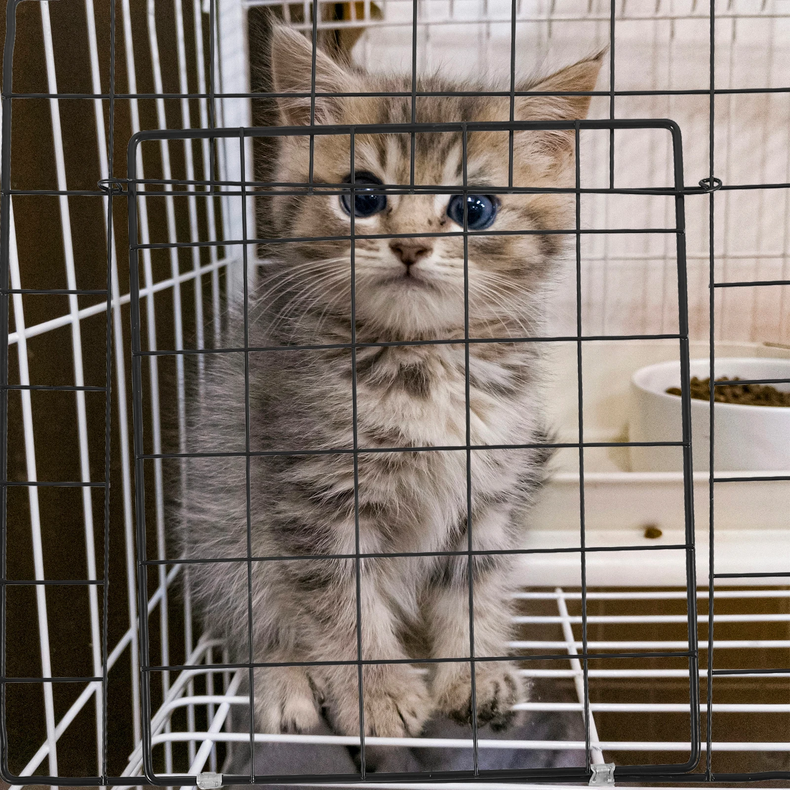 

DIY Dog Crate Door Panel Metal Fence Door for Dogs Easy to Install Simple Practical Suitable for Dog Fence Cat Cage