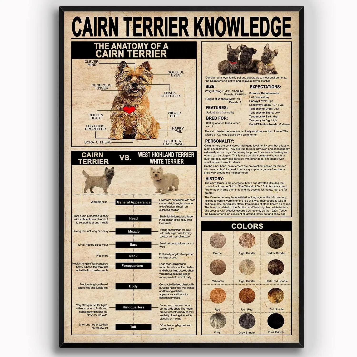 Youpinnong Cairn Terrier : Panneaux métalliques éducatifs, Affiches infographiques vintage Cairn Terrier, Décoration murale scientifique pour canil, Pour les amoureux des chiens