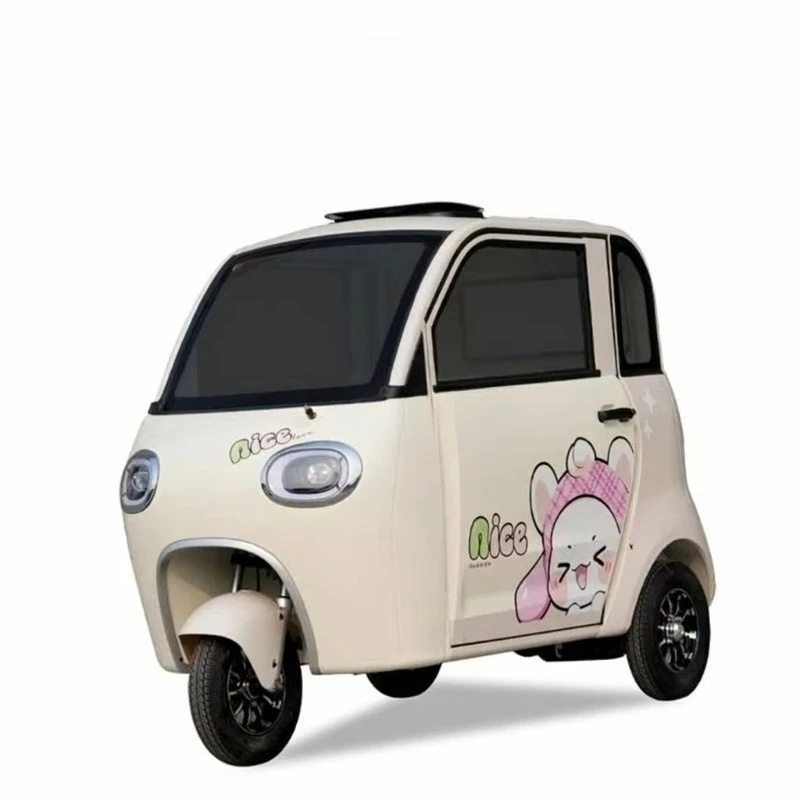 Enclosed 2-Door Electric Tricycle 1000W 3-Wheel Passenger 80KM Range Front & Rear Disc Brake System for Commuting