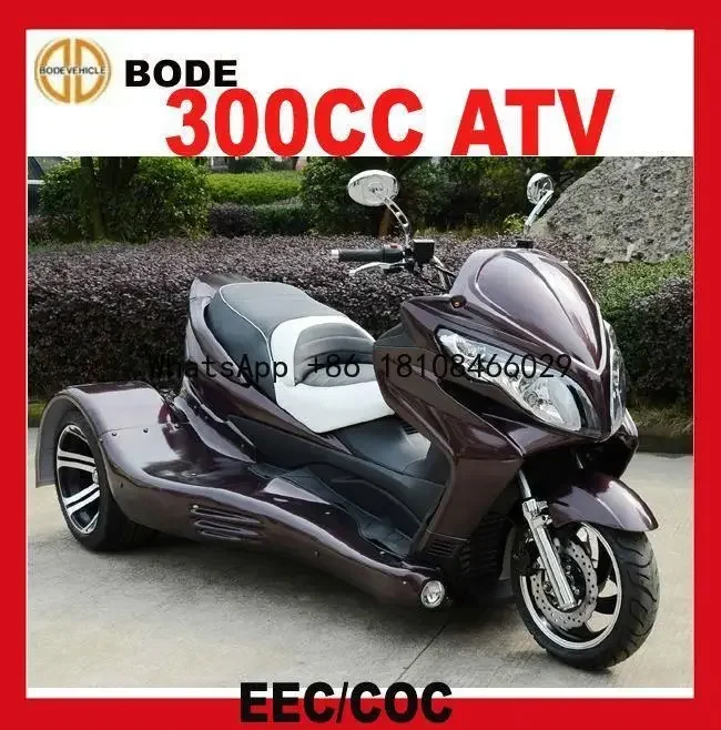 2015 EEC GAS SCOOTER 300CC (MC-393)