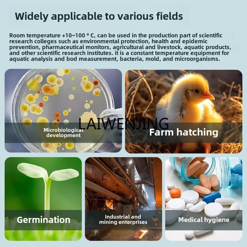 MJY-Boîte de germination de graines de cellules microbiennes, incubateur thermostatique électrique, laboratoire