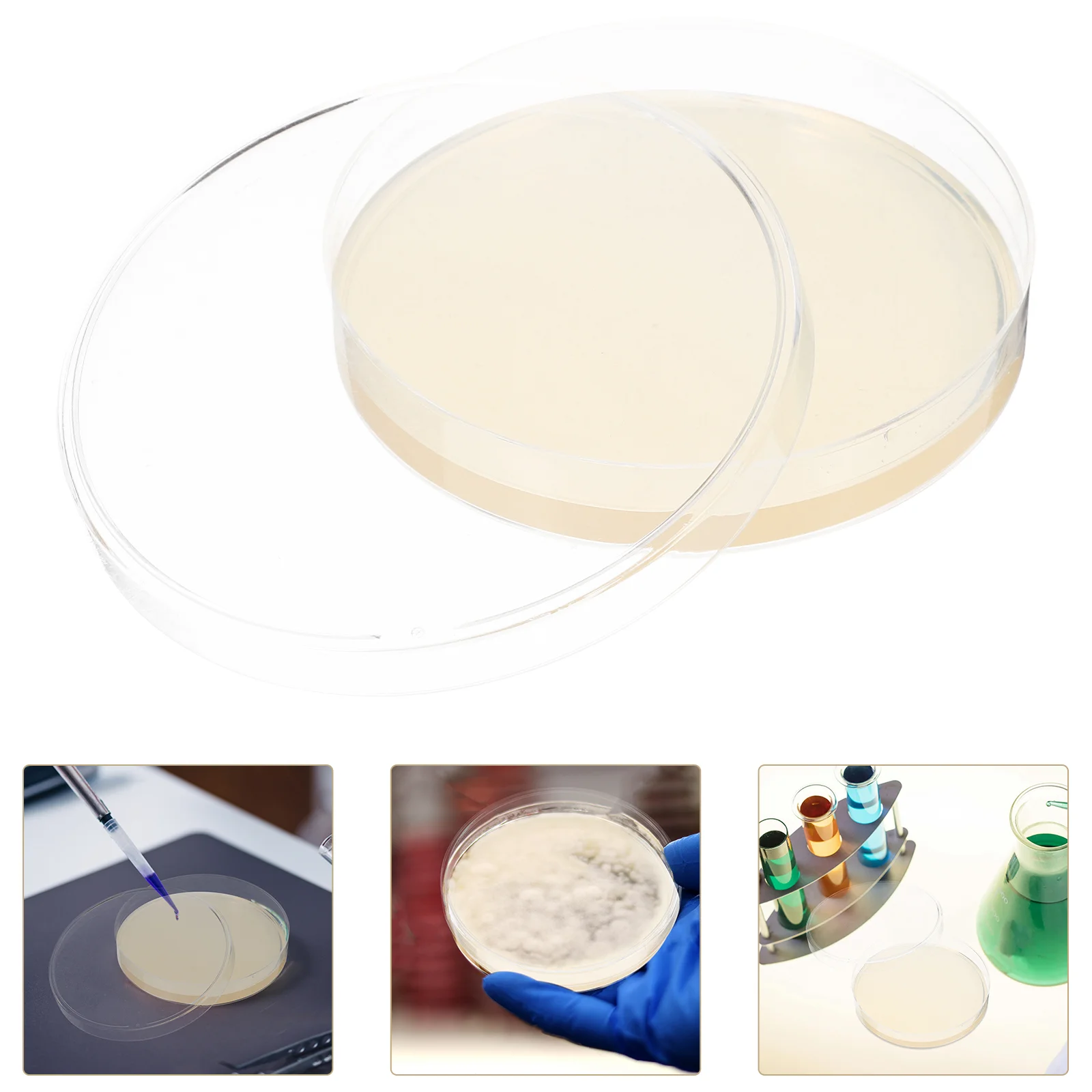 10pcs Agar Plates Disposable Agar Medium Agar Plates Biological Determine Equipment (Vacuum Packaging)