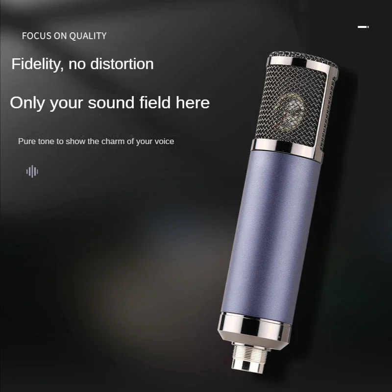F22 microfono a condensatore a diaframma grande 16 26 34 Core Live Recording 5V 48V grande scheda madre alta qualità del suono