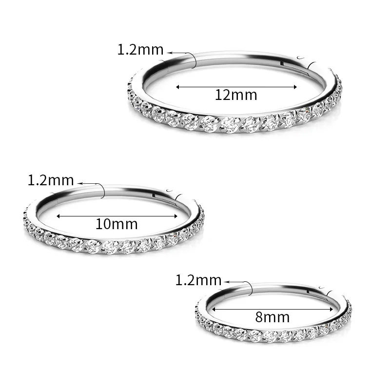 G23 Titanium Earrings Hoop Round Tragus Cartilage Helix Daith Lip Hinged Clicker Segment Ear Nose Ring Body Piercing Jewelry