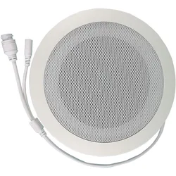 5W Poe Special Offer Network Tcp Ip Public Address System Audio ABS Ceiling Speaker POE or DC12V