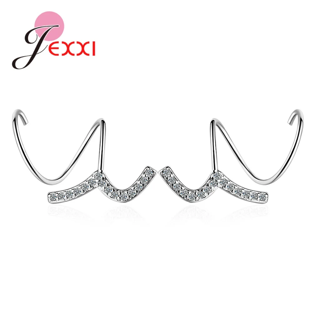 Statement 925 Silver Earrings for Hip Hop Ladies High Class AAA Cubic Zircon Mirco Inlay Tender Shoot Personality Design Brincos