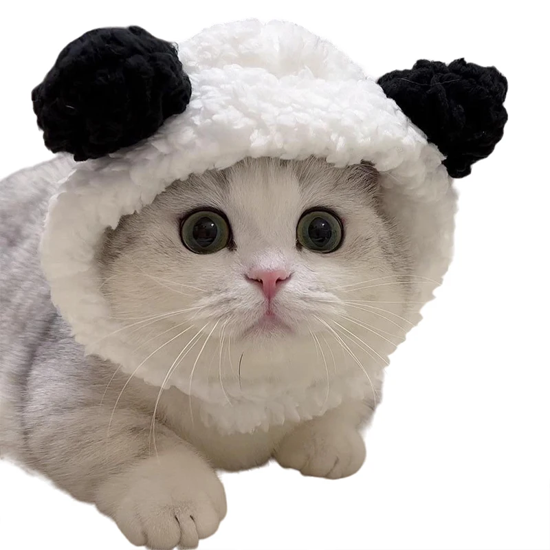 Kitty Kitty sombrero polluelo mascota sombrero Panda oso perro sombrero arrastre sombrero Internet celebridad transfronteriza