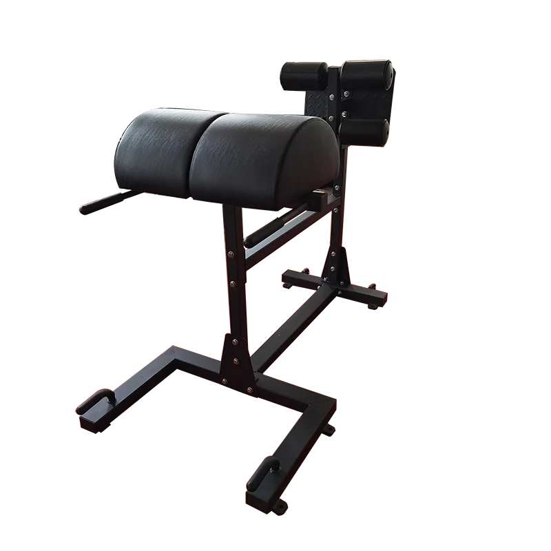 

Reverse Hyper Extension Lower Back Strength Training Exercise Glute Ham Developer Roman Chair for Fitness Club