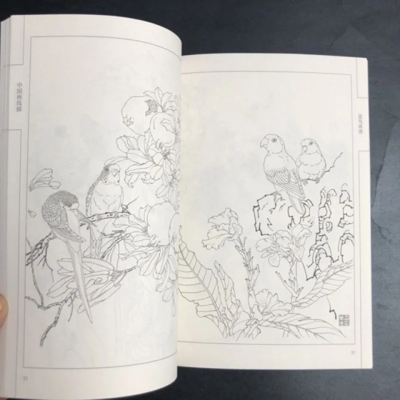 كتاب تلوين للبالغين والمراهقين يتميز بتصميمات سهلة وبسيطة لرسم الرسم الصيني للاسترخاء