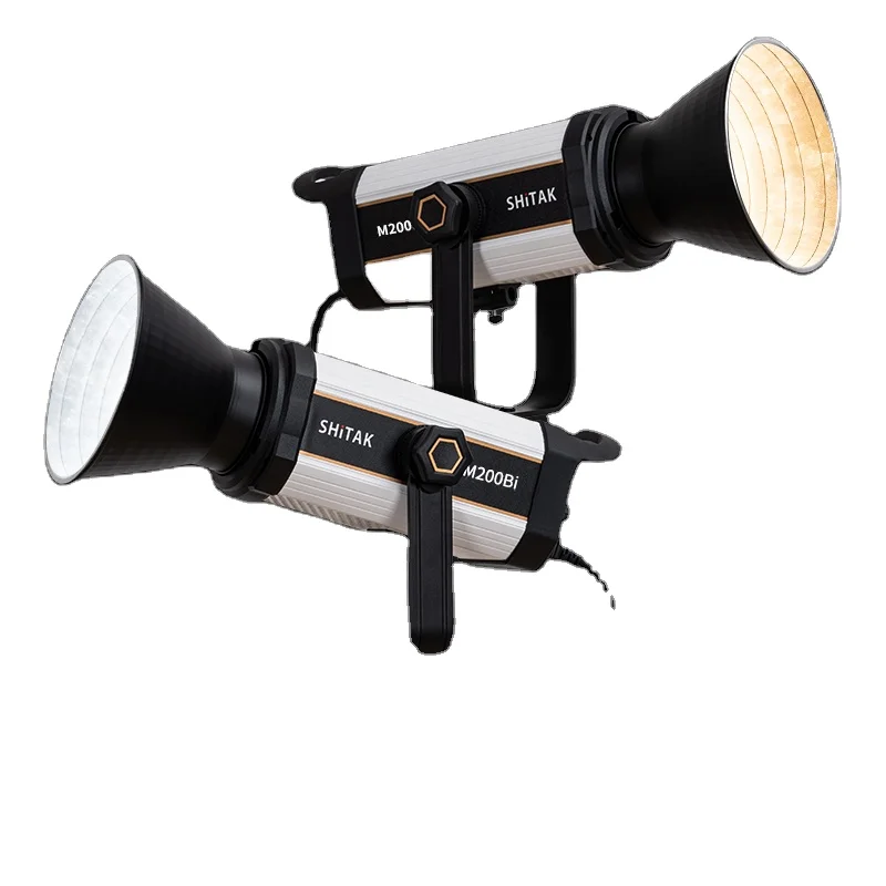 Continous Video Lighting Film Shooting Umbrella Lights Set Photography Photo Studio Accessories Strobe Light for Photo Studio