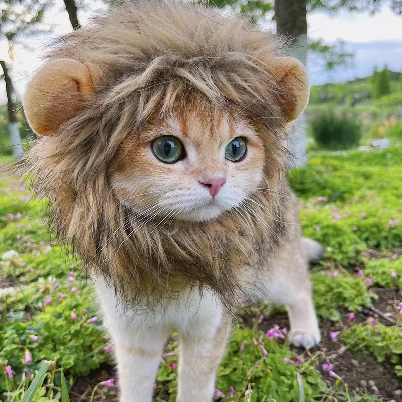 Cute Lion Mane Cat Wig Hat Funny Pets Clothes Cap Decor Costume Cosplay  Lion Wig Fancy Hair Dog Hat with Ears Party Supplies