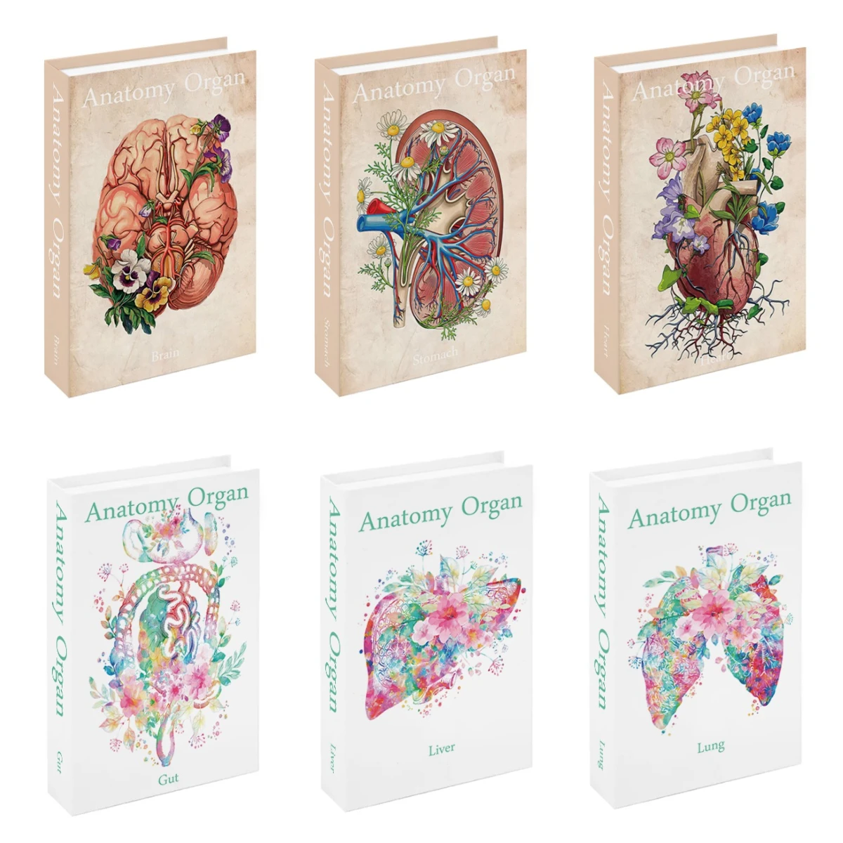 Medical Anatomy Organ Luxury Fake Book Storage Box Decorative Books Home Decor Coffee Table Bedroom Gothic Interior Decoration