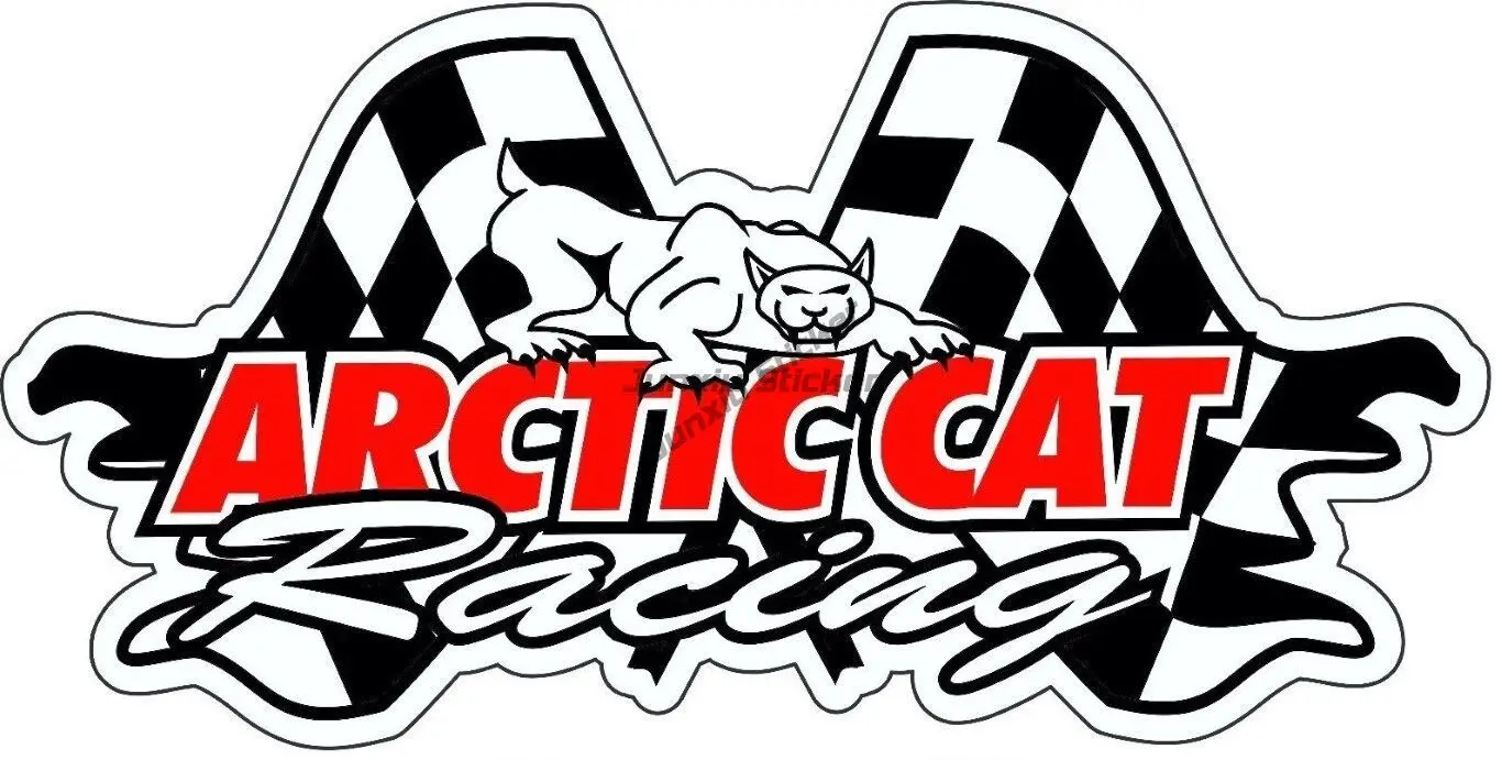 ARCTIC CAT RACING WINDSHIELD BUMPER  HELMET STICKER WITH WHITE BACKGROUND Scratch-Proof Sunscreen