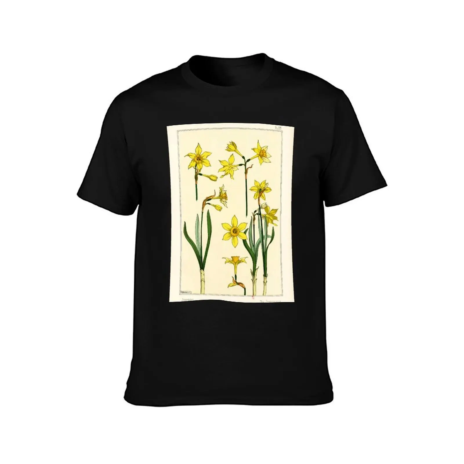 French botanical flower plate - Maurice Verneuil - Jonquille T-Shirt, Summer Casual Cotton Tee, Oversized Streetwear Tops