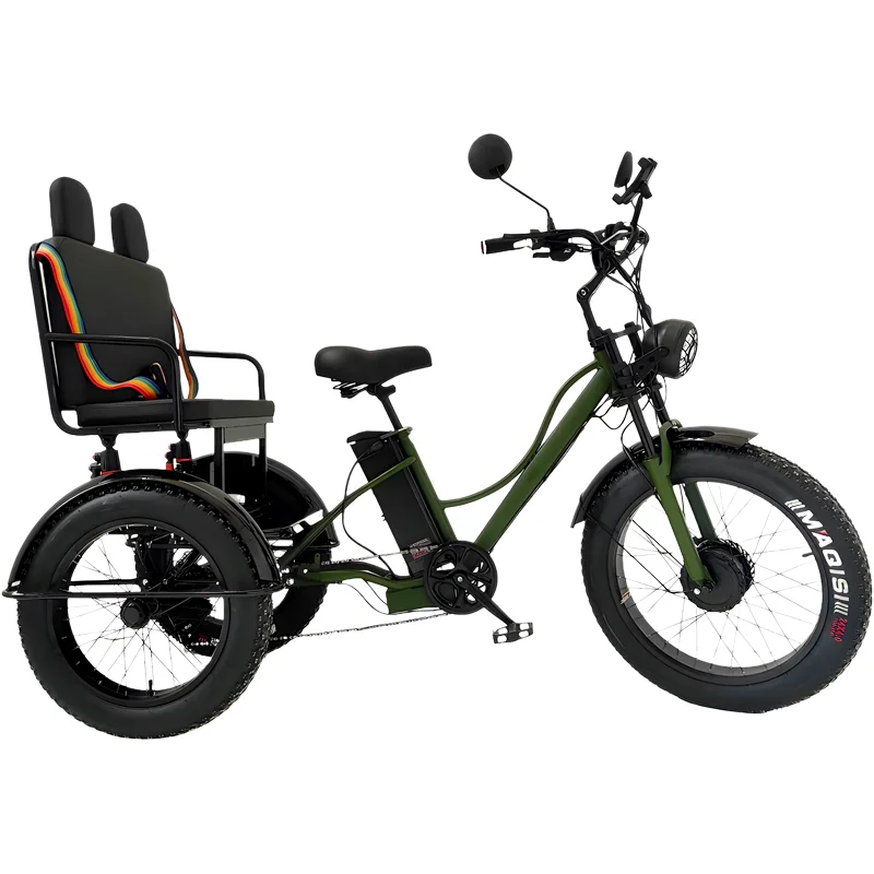 

Electric Tricycle For Adult 3 Passengers 750w 48v Family Electric Bicycles For Men Trike With Safe Belt Removable Battery