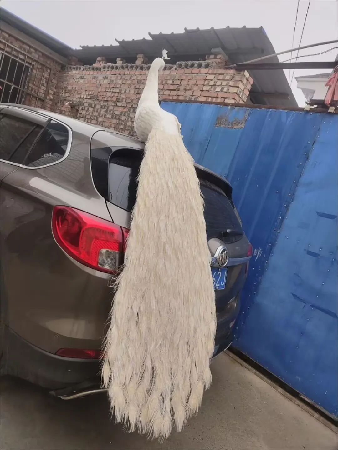 huge beautiful simulation foam and feather long tail peacock model gift about 180cm a0091