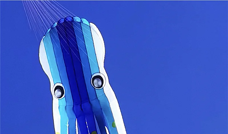 Cerf-volant poulpe 23m pour adultes, cerf-volant professionnel, cerf-volant à puissance douce