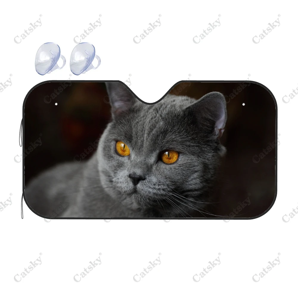 

Британский автомобильный солнцезащитный козырек на лобовое стекло, козырек на лобовое стекло автомобиля, солнцезащитный козырек, термоотражатель, солнцезащитный козырек с защитой от УФ-лучей