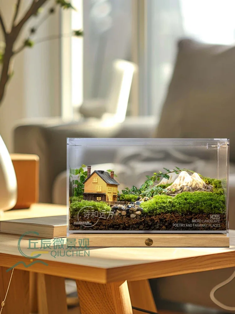 Moss Micro Landscape Ecological Bottle Office Tabletop Ornament Living Room Green Plants Potted Plants Men's and Women'