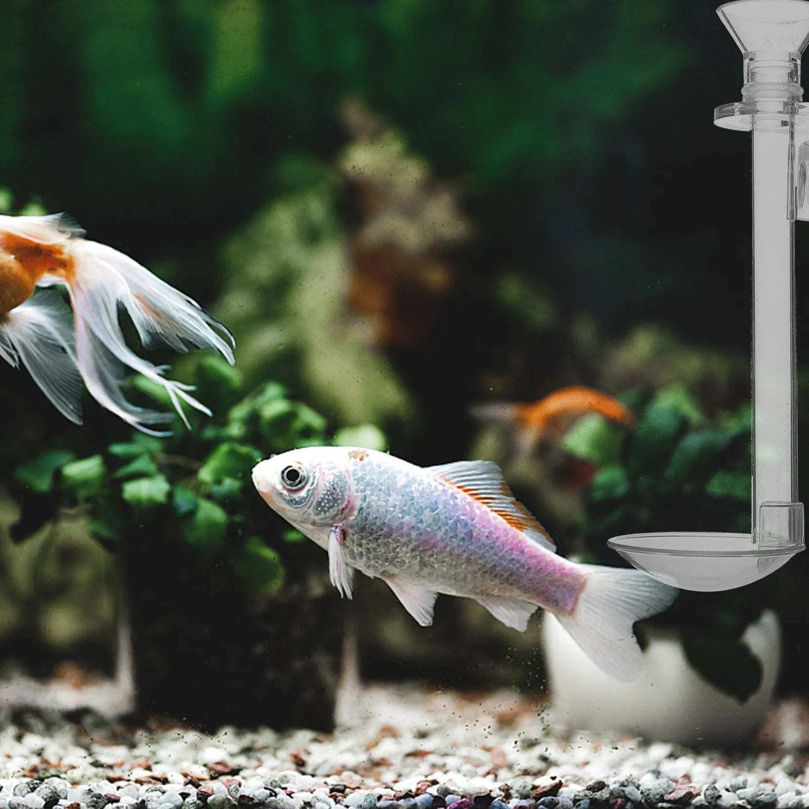 

Набор из 1 прозрачной акриловой трубки-кормушки для аквариума, настенная, для кормления рыб и креветок, простая установка