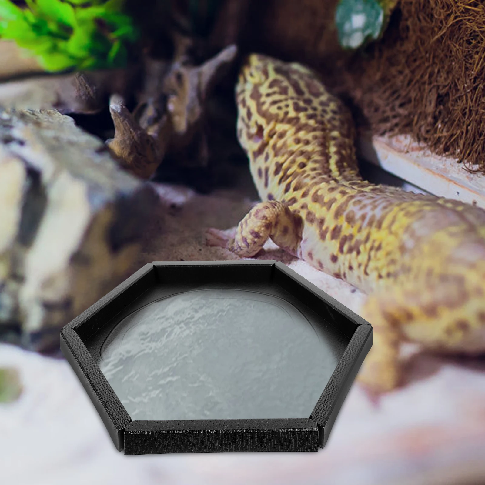

3pcs Reptile Water Bowl Tortoise Food Feed Dish Decorative Reptile Bowl Pet Supply Animal Terrarium Feeding Bowls Safe Plastic
