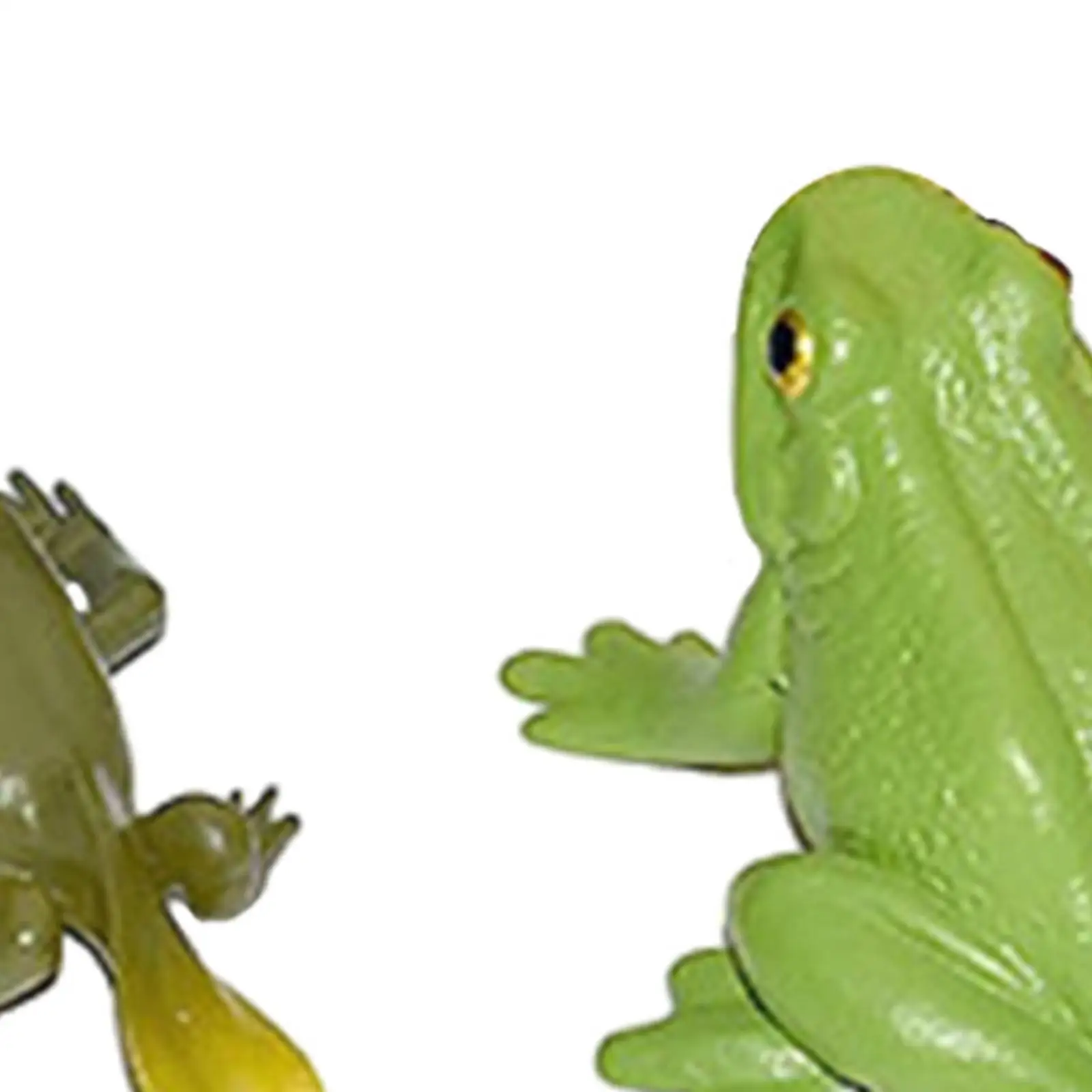 動物の生活成長サイクル図生物学モデル教材教育