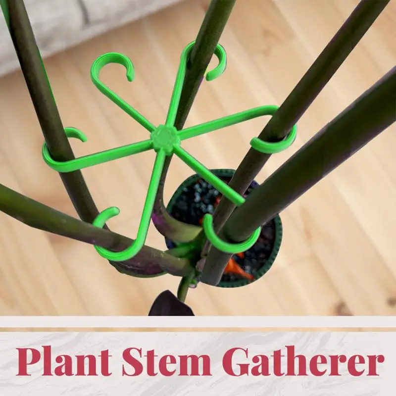 Plant Stem Holder 4Pcs Garden Vine Leaf Support Clips set For Alocasia Monstera To Grow Upright And Makes Healthier