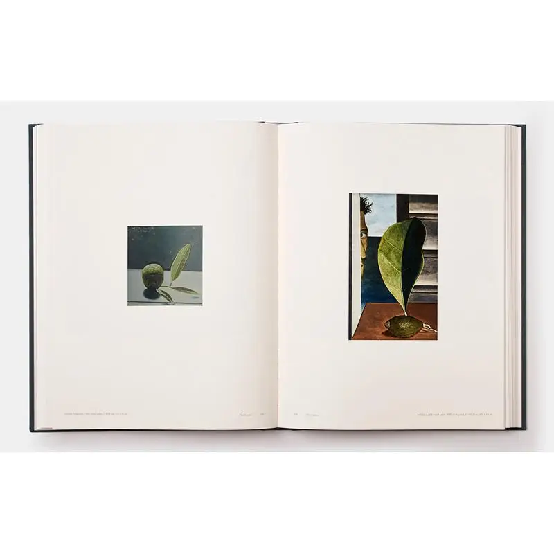 Lucian Freud Martin Gayford Phaidon Press 9780714875262 Book