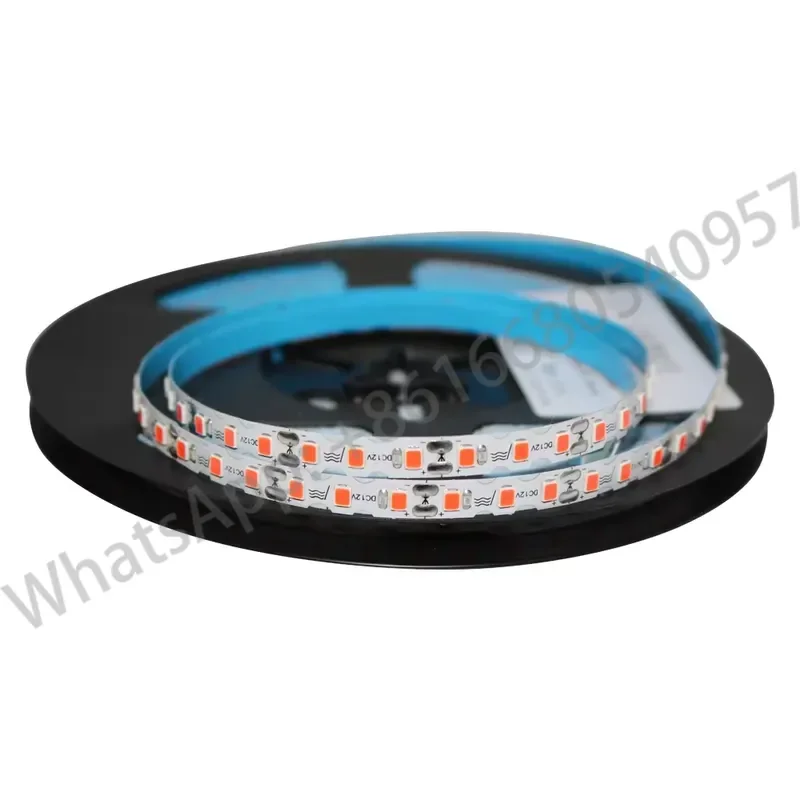 12V Colored Led Light Strips s Shape 2835 SMD 120 Lamps Per Meter for Neon Sign Making